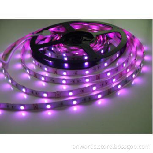 High Quality Purple Rope Lights
